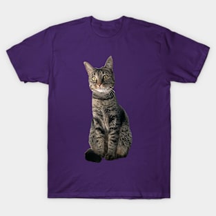 Kitty T-Shirt